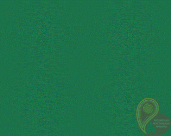 Твил гладкокрашеный 195 Зеленый фото